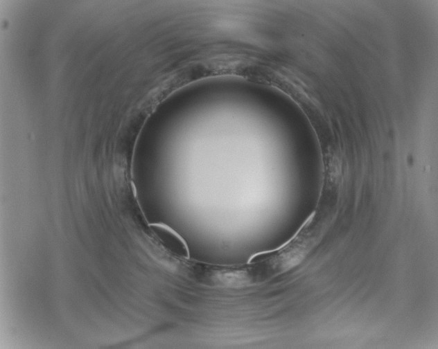 X0000073450283200608041035