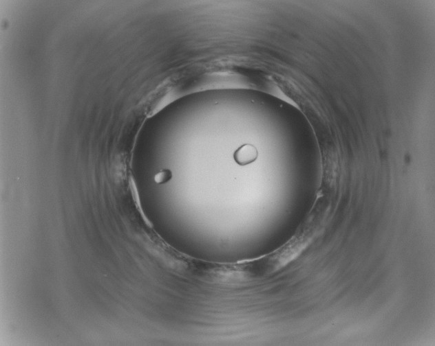 X0000073450284200608041035