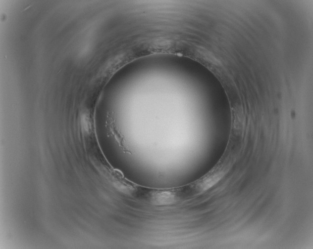 X0000073450287200608041035