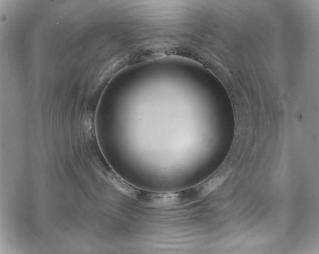 X0000073450288200608041035