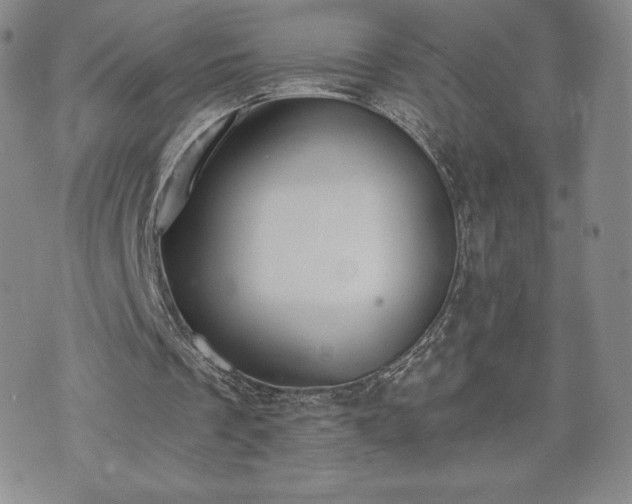 X0000073450289200608041034