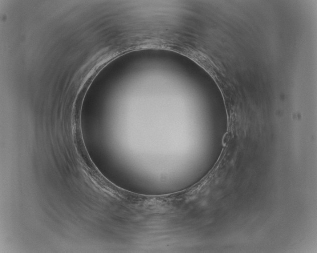 X0000073450290200608041034