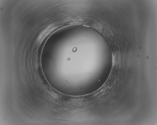 X0000073450291200608041034