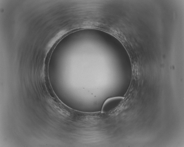 X0000073450292200608041034