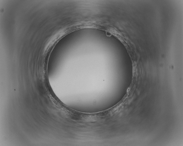 X0000073450293200608041034