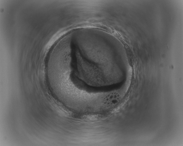 X0000073450295200608041034