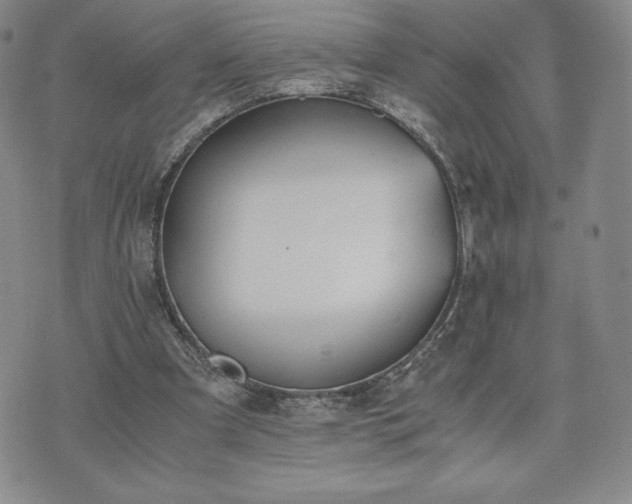 X0000073450297200608041034