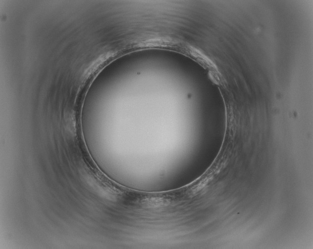 X0000073450298200608041034