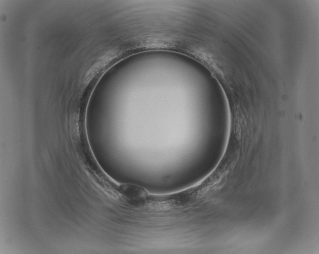 X0000073450299200608041034