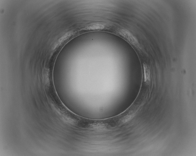 X0000073450300200608041034