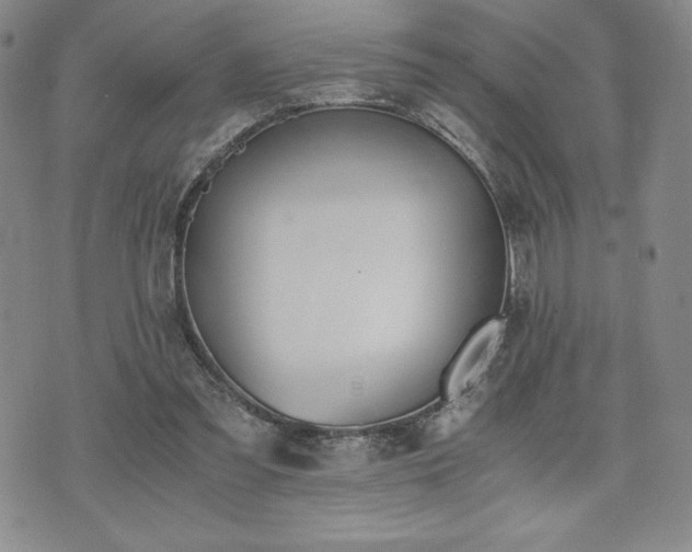 X0000073450301200608041034