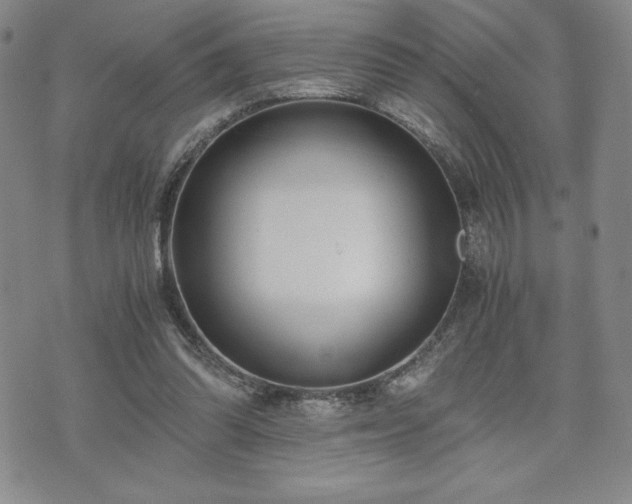 X0000073450302200608041034