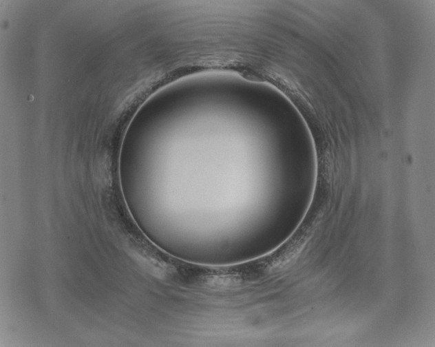 X0000073450303200608041034