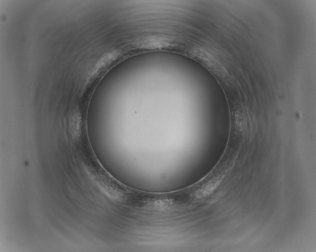 X0000073450304200608041034