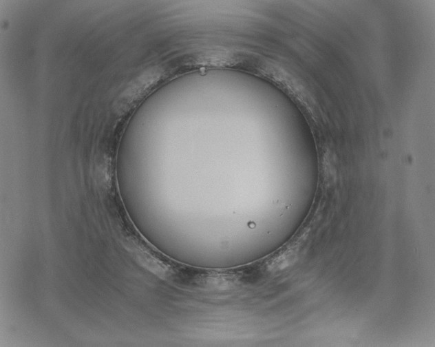 X0000073450305200608041034