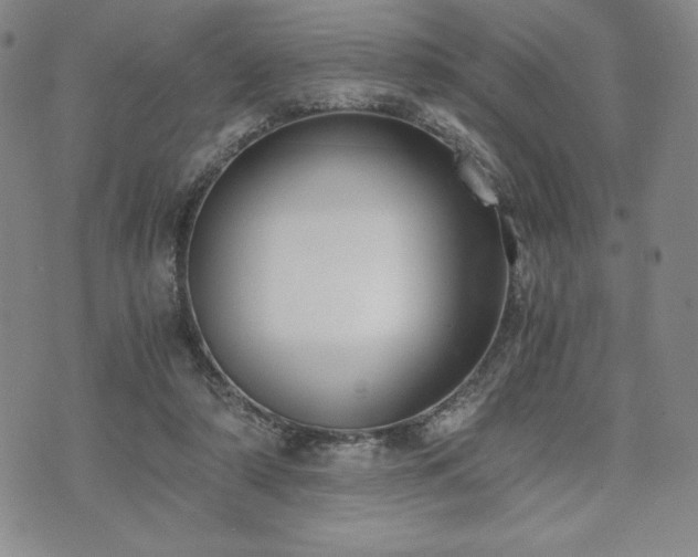 X0000073450306200608041034