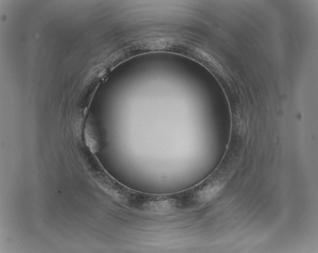 X0000073450307200608041034