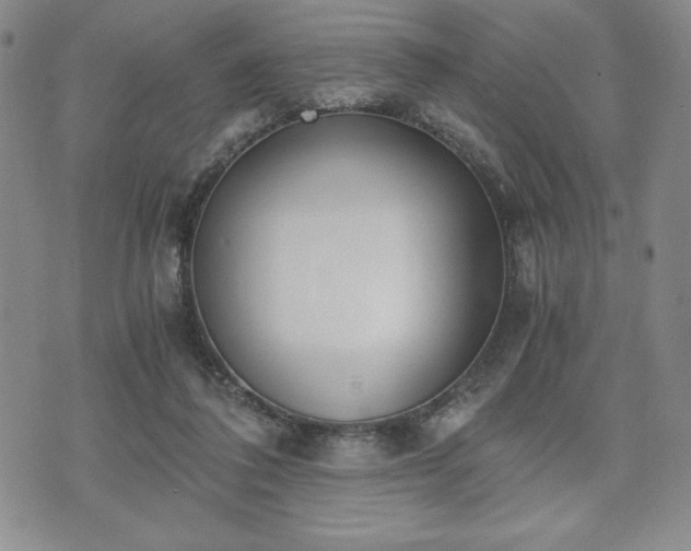 X0000073450308200608041034