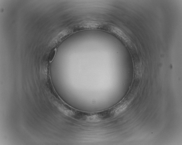 X0000073450309200608041034