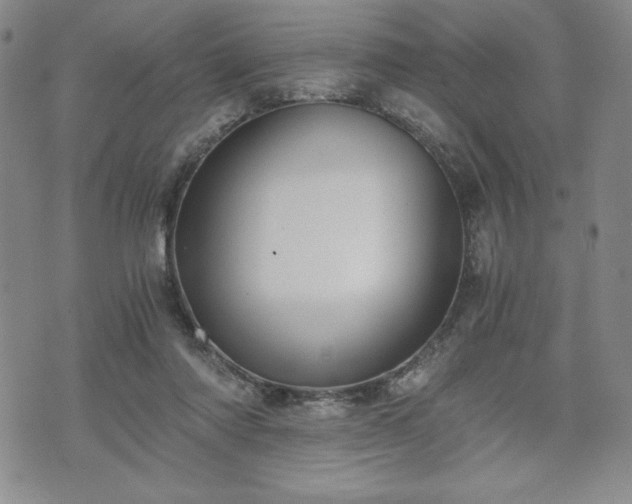 X0000073450310200608041034