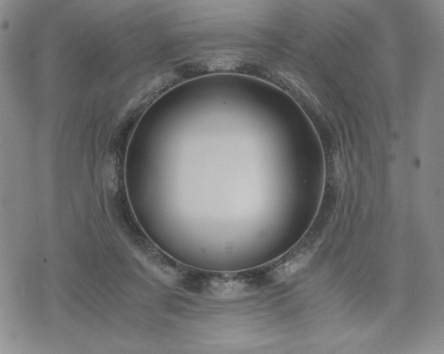 X0000073450311200608041034