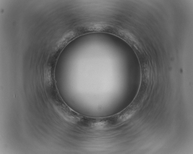 X0000073450312200608041034