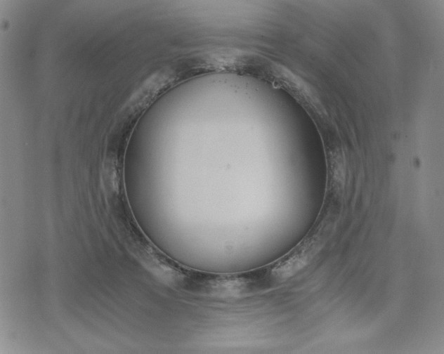 X0000073450313200608041034