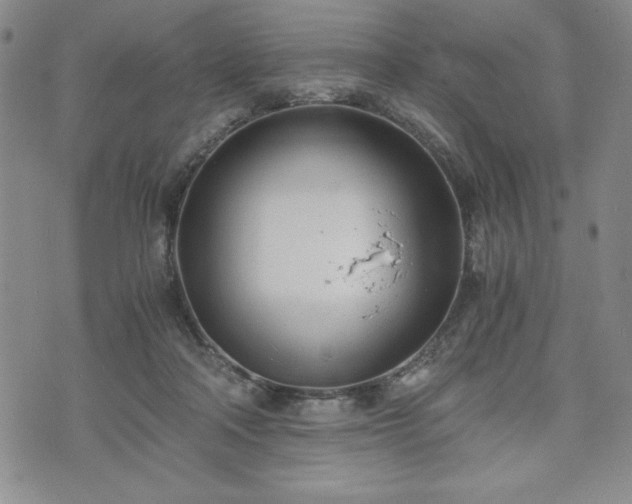 X0000073450314200608041034