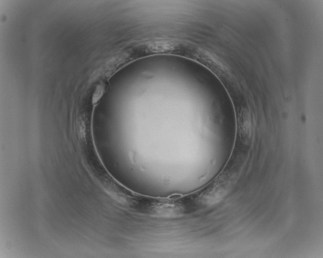 X0000073450315200608041034