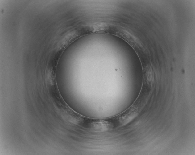 X0000073450316200608041034