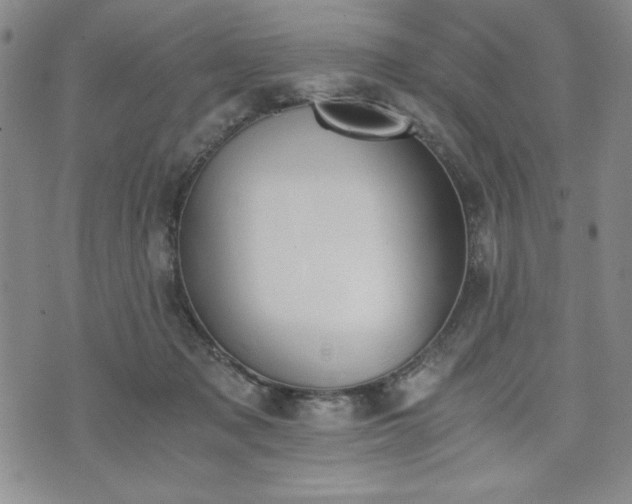 X0000073450317200608041034