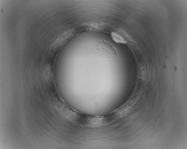 X0000073450318200608041034