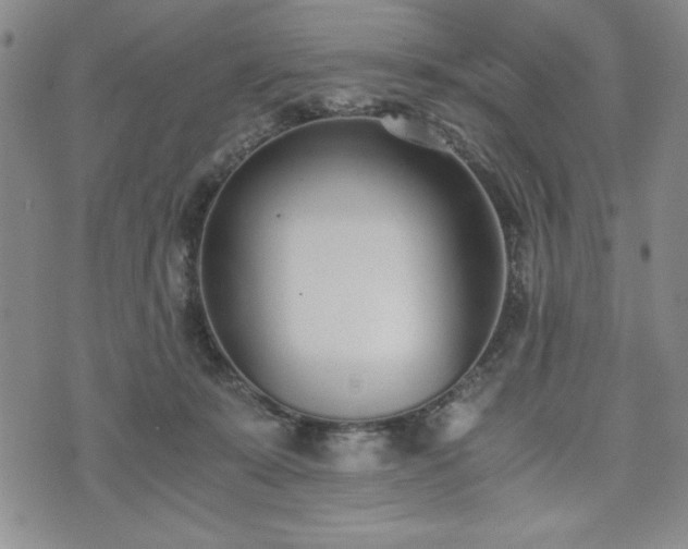 X0000073450319200608041034