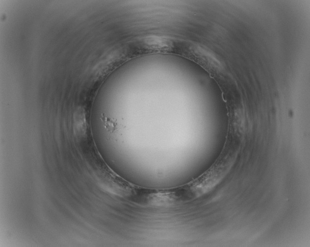 X0000073450320200608041034