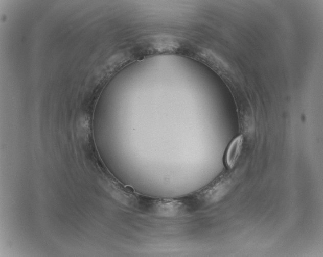 X0000073450321200608041034