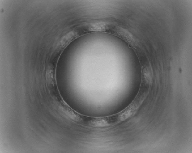 X0000073450322200608041034