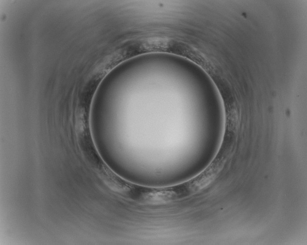 X0000073450323200608041034