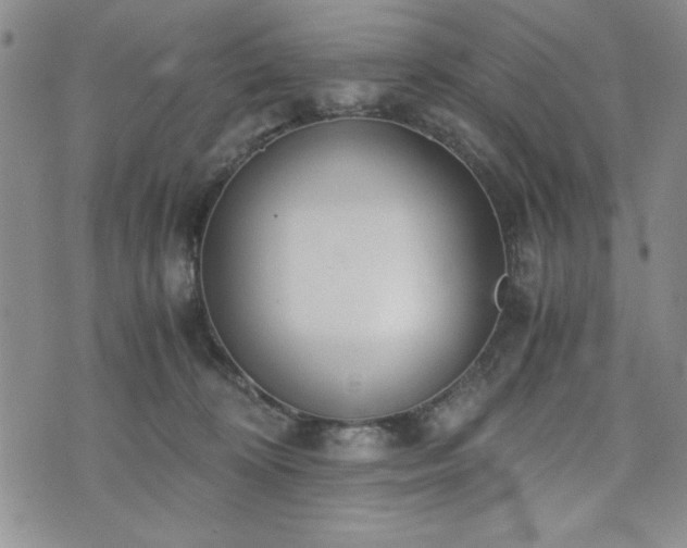 X0000073450324200608041034