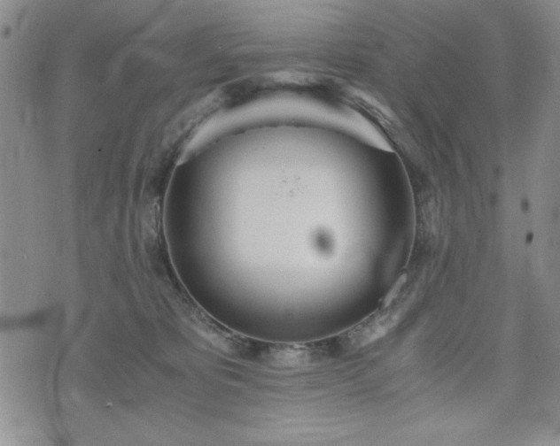 X0000073450325200608041034