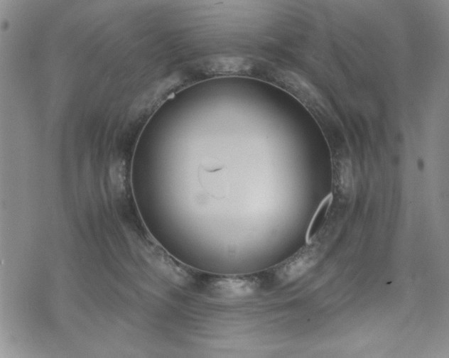 X0000073450326200608041034