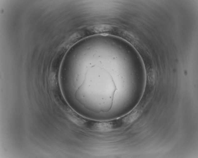 X0000073450327200608041034