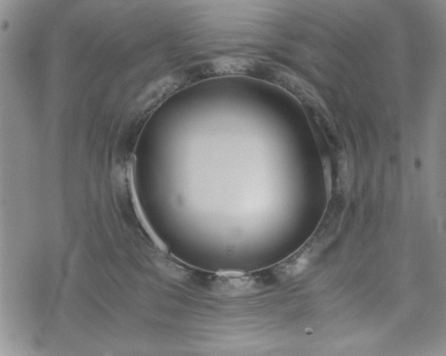 X0000073450329200608041034