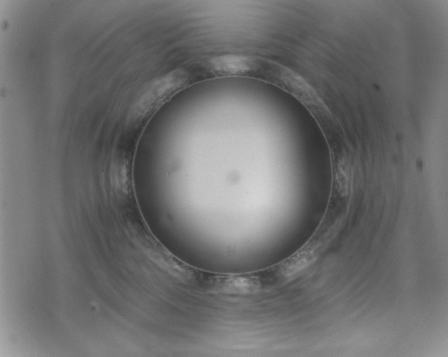 X0000073450330200608041034