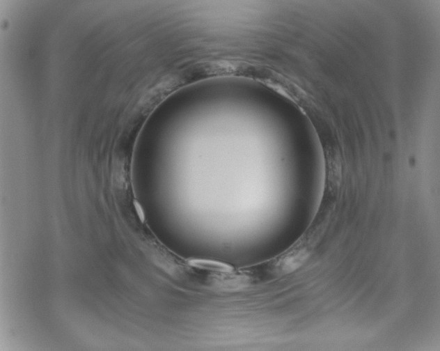 X0000073450331200608041034