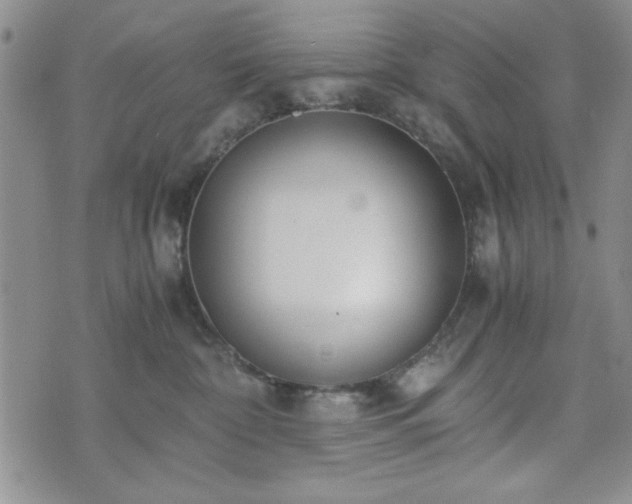 X0000073450332200608041034