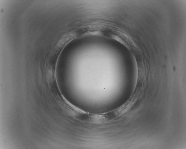 X0000073450333200608041034