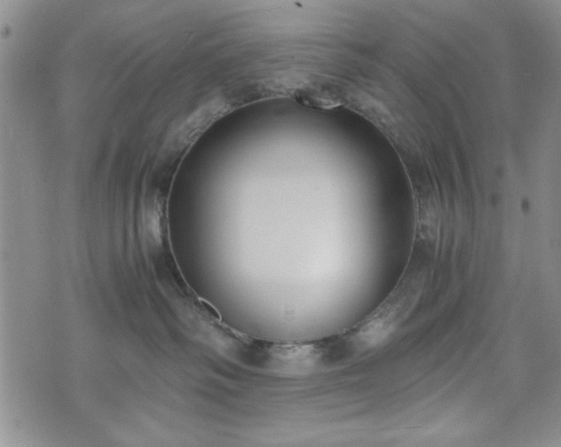 X0000073450334200608041034