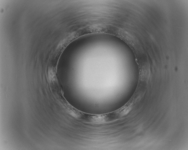 X0000073450335200608041034