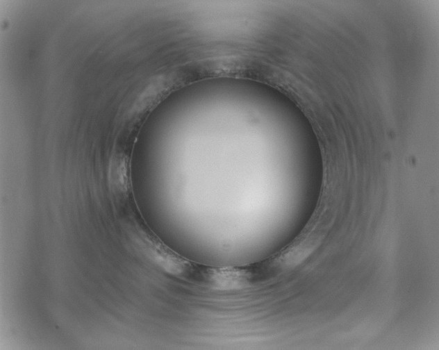 X0000073450336200608041034