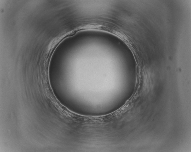 X0000073450337200608041033